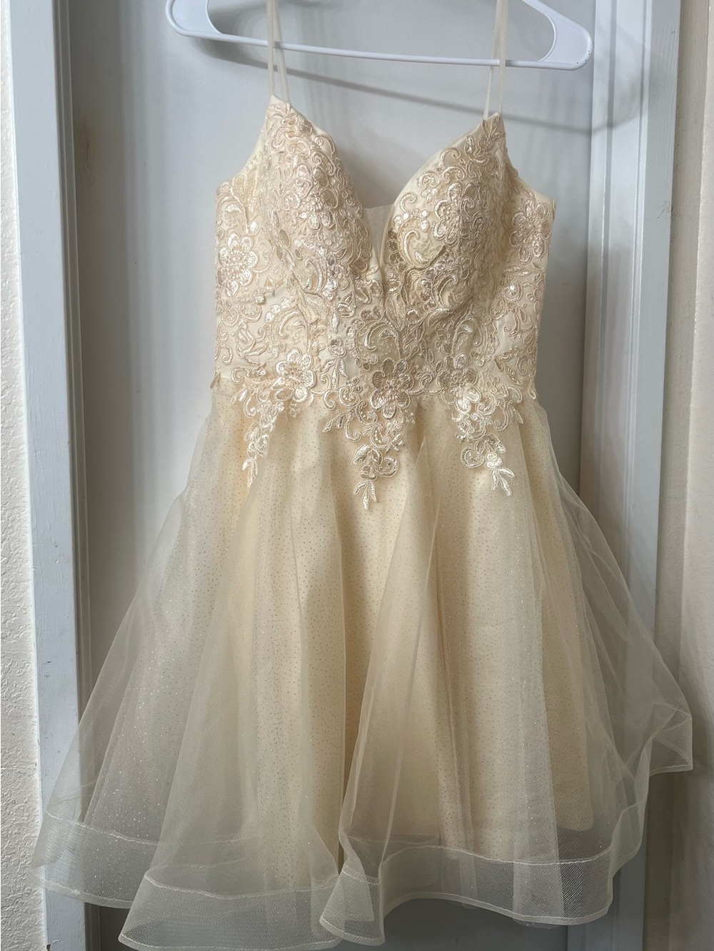 & Other Stories Champagne Lace & Tulle Prom Dress